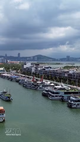 Lam Dong : Cap sur le tourisme d’aventure et la connectivité terre-mer