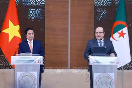Le Premier ministre vietnamien Pham Minh Chinh (à gauche) et son homologue algérien Sifi Ghrieb lors de la conférence de presse conjointe, à Alger, le 19 novembre. Photo : VNA