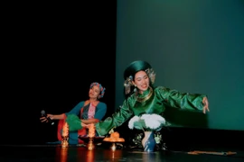 L'une des représentations empreintes d'identité culturelle vietnamienne à Vietnam Day 2025 en Nouvelle-Zélande. Photo : VNA