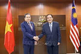 Le président de l’Assemblée nationale du Vietnam, Tran Thanh Man (gauche) et le président du Sénat malaisien, Dato' Awang Bemee Awang Ali Basah. Photo: VNA