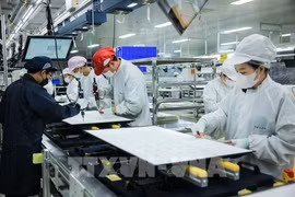 Les capitaux vietnamiens nouvellement investis à l’étranger ont atteint 532,4 millions de dollars au cours des deux premiers mois de l'année. Photo: VNA