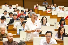 Des députés discuent de projets de loi. Photo: VNA