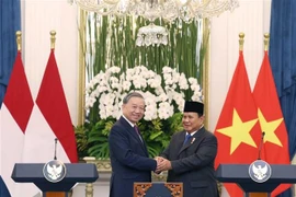 Le secrétaire général du PCV Tô Lâm (gauche) et le président d’Indonésie, Prabowo Subianto. Photo: VNA