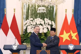 Le secrétaire général du PCV Tô Lâm (gauche) et le président d’Indonésie, Prabowo Subianto. Photo: VNA