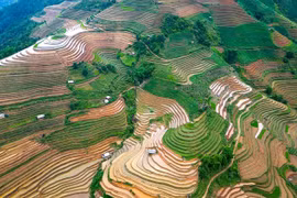 Mù Cang Chai se trouve à environ 300 km de Hanoï, perchée à flanc de la chaîne montagneuse de Hoàng Liên Sơn, à une altitude d’environ 1.000 mètres au-dessus du niveau de la mer. Photo: VNA