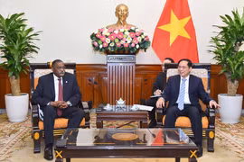 Le ministre vietnamien des Affaires étrangères Bui Thanh Son (droite) reçoit le secrétaire d'État angolais aux Affaires étrangères Domingos Vieira Lopes, en visite officielle au Vietnam en novembre 2022. Photo: VNA