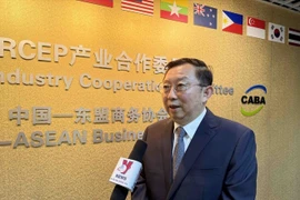 Le président du Comité de coopération industrielle dans le cadre du Partenariat économique global régional (RCEP) et directeur exécutif du Conseil d’affaires Chine-ASEAN, Xu Ningning. Photo: VNA