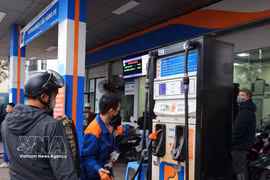 Petrolimex et PVOIL du groupe Petrovietnam ont pris les devants en déployant des solutions visant à remplacer l’essence minérale par l’essence biologique E10RON95 à l’échelle nationale. Photo: VNA