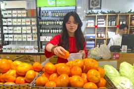 Des consommateurs choisissent de plus en plus de produits agricoles biologiques pour les paniers cadeaux du Têt 2026. Photo : VNA.