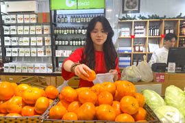 Des consommateurs choisissent de plus en plus de produits agricoles biologiques pour les paniers cadeaux du Têt 2026. Photo : VNA.