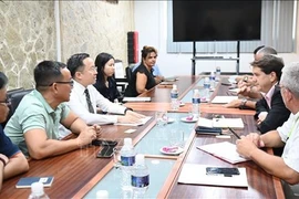 La délégation de la VTV travaille avec l'IICS. Photo: VNA
