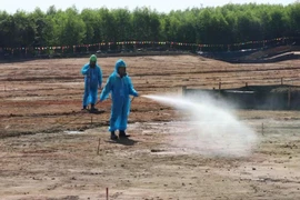 Décontamination de l'aéroport de Biên Hoa. Photo: VNA