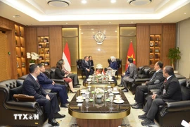 Séance de travail entre l’Audit d’État du Vietnam et le Conseil d'audit d'Indonésie. Photo: VNA