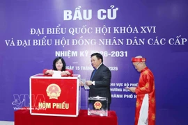 Bui Thi Minh Hoai, membre du Bureau politique, secrétaire du Comité central du Parti et présidente du Comité central du FPV, dépose son bulletin de vote dans l'urne. Photo: VNA