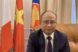 L’ambassadeur du Vietnam en France, Dinh Toan Thang. Photo: VNA