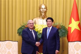 Le président Luong Cuong (droite) reçoit le ministre turc de la Défense Yasar Guler. Photo: VNA