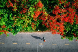 Les voyageurs vietnamiens optent de plus en plus pour des séjours courts à l'étranger et des expériences originales à l'occasion des congés du 30 avril et du 1er mai. Photo: VietnamPlus