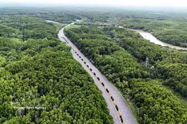 Mangroves de Can Gio. Photo: VNA