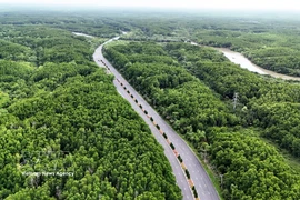 Mangroves de Can Gio. Photo: VNA