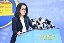 La porte-parole du ministère des Affaires étrangères, Pham Thu Hang. Photo: VNA