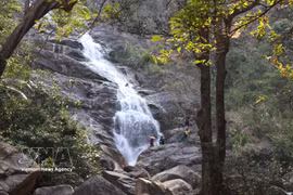 Classée site patrimonial au niveau provincial, cette chute d’eau prend sa source au sommet du mont Adin, culminant à 1 406 mètres d’altitude. Depuis une paroi rocheuse abrupte, l’eau s’écoule toute l’année, faisant de Thac Lua la plus haute cascade de la province. Photo: VNA