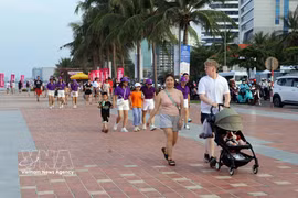Des visiteurs à Da Nang. Photo: VNA