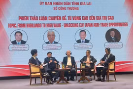 Conférence de connexion commerciale et de promotion des exportations 2025 dans la province vietnamienne de Gia Lai. Photo: VNA