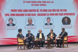 Conférence de connexion commerciale et de promotion des exportations 2025 dans la province vietnamienne de Gia Lai. Photo: VNA