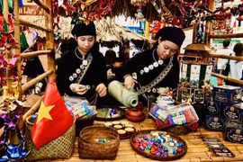 L'objectif central de cette stratégie est de diffuser l'image d'un Vietnam stable politiquement, dynamique économiquement et riche d'une identité culturelle profonde. Photo: VNA