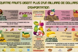 Quatre fruits visent plus d’un milliard de dollars d’exportation 