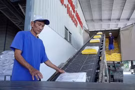 Le Vietnam prévoit d’exporter environ 7 millions de tonnes de riz en 2026. Photo: thanhnien.vn