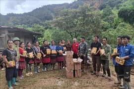 Remise de biens essentiels à des habitants de la province de Son La. Photo: VNA