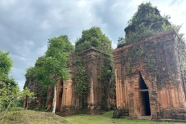 Le groupe de tours de Khuong My date du début du Xe siècle et est considérée comme un groupe de tours Cham relativement intact à ce jour. Photo: VNA