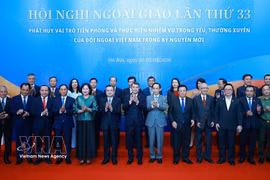 Le Premier ministre Le Minh Hung et des délégués participant au séance plénière de la 33e Conférence diplomatique. Photo: VNA