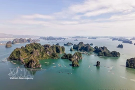 Avec sa beauté unique et incomparable, la baie de Ha Long a été inscrite deux fois au patrimoine mondial de l'UNESCO. Photo : VNA