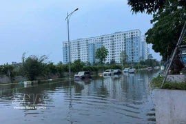 Les pluies torrentielles qui se sont abattues de la nuit du 29 mars au petit matin du 30 mars ont provoqué des inondations dans quelques rues d'Hanoï. Photo: VNA