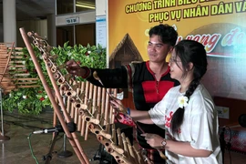 Une jeune vietnamienne d'outre-mer s'essaie le t’rung (xylophone en bambou, très populaire auprès des minorités ethniques des Hauts Plateaux du Centre). Photo: VNA