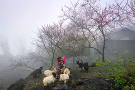 La culture locale rend les destinations vietnamiennes attrayantes. Photo : VietnamPlus