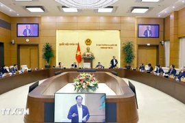 L'Assemblée nationale examine les préoccupations des citoyens sur le commerce en ligne. Photo: VNA