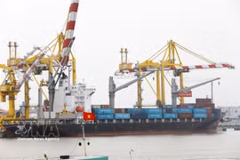 Les exportations de marchandises se sont élevées à 319,53 milliards de dollars entre janvier et juillet. Photo: VNA