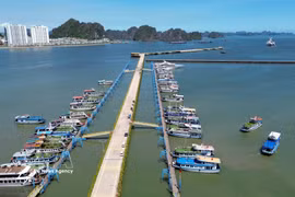 Port international d’Ha Long. Photo: VNA