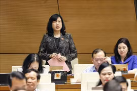 La ministre de la Santé, Dao Hong Lan. Photo: VNA