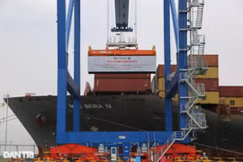 Le porte-conteneurs M/V MSC BEIRA IV. Photo: VNA