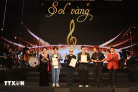 Des musiciens honorés par les Prix Sol vang. Photo: VNA