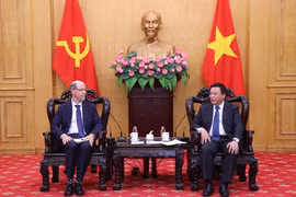 Le directeur de l'Académie nationale de politique Hô Chi Minh, Nguyên Xuân Thang (droite) et Doron Avnin, vice-président de Google. Photo: VNA