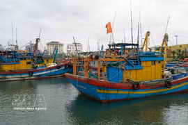 Gia Lai mise sur une pêche durable et une aquaculture high-tech. Photo: VNA