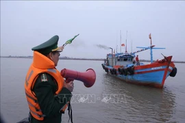 Les gardes-frontières de la province de Nam Dinh se sont illustrés non seulement dans la défense de la souveraineté territoriale, mais aussi dans la lutte active contre la pêche INN. Photo: VNA