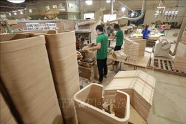 Le Vietnam se classe actuellement au 5ᵉ rang mondial et au 2ᵉ rang asiatique pour les exportations de bois et de produits forestiers. Photo: VNA
