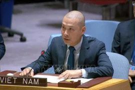 Le ministre-conseiller Nguyên Hoang Nguyên, chargé d’affaires par intérim de la Mission permanente du Vietnam auprès des Nations Unies. Photo: VNA