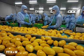 Un établissement de la société B'LaoFood à Lam Dong. Photo: VNA